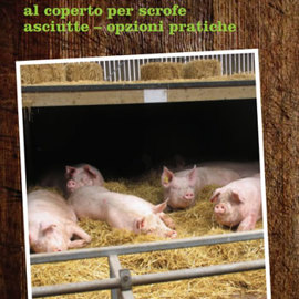 Italian Housing Systems for Sows cover