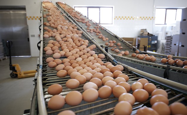 3. PRODUTTORI ALIMENTARI