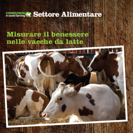 IT Dairy Welfare Outcomes Booklet Cover Crop