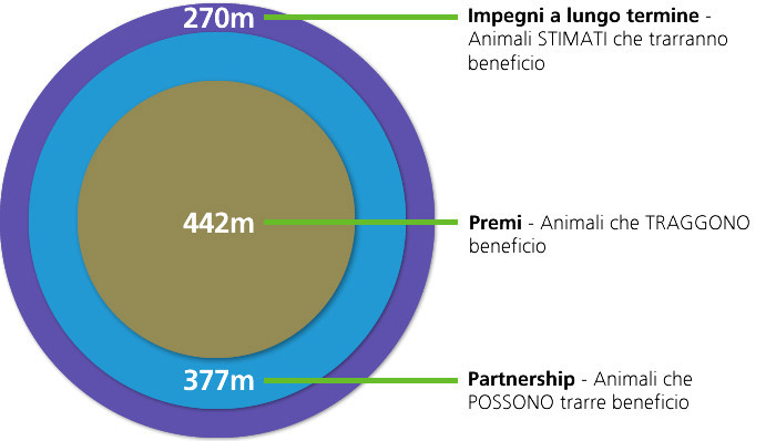 Impact graph - accurate Italian.jpg