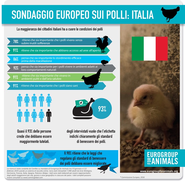 uitdr EFA infographic broiler chicken_ITA.jpg