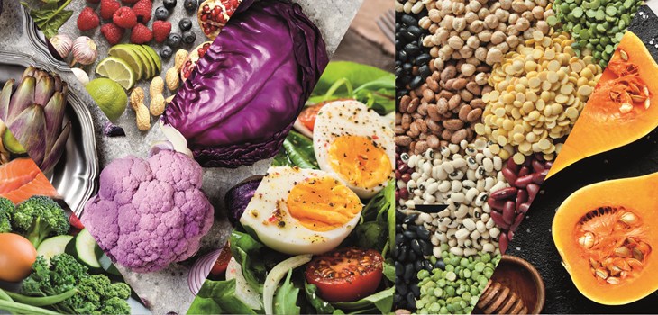 Retthinking Food Banner 08Textless