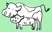 illustrazione vacca e vitello in piedi fianco a fianco