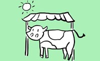 illustrazione vacca sotto un riparo per la pioggia