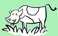illustrazione di vacca che mangia l'erba