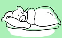 Illustrazione di suino che dorme sotto una coperta