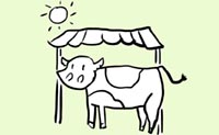 Illustrazione vitello al riparo dal sole