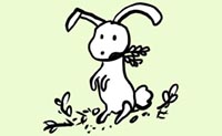 Illustrazione di coniglio che mangia